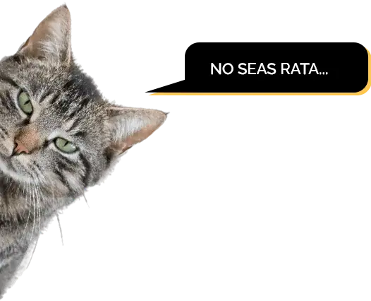 rascador gato barato