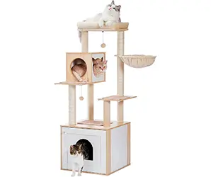 PAWZ Road Moderno árbol de madera para gatos con armario de almacenamiento