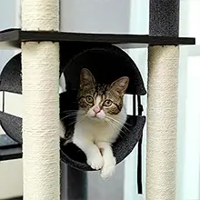 arbol gato madera con hamaca