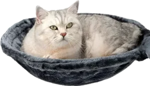 arbol para gato con hamaca