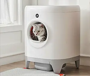 caja de arena para gatos petkit pura x auto