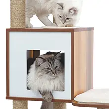 rascador arbol para gatos de madera estables