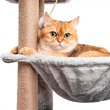 ventajas de los rascadores grandes para gatos