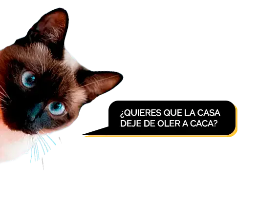 catit smartsift arenero semiautomatico bn